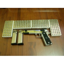 Para Ordnance 45 ACP